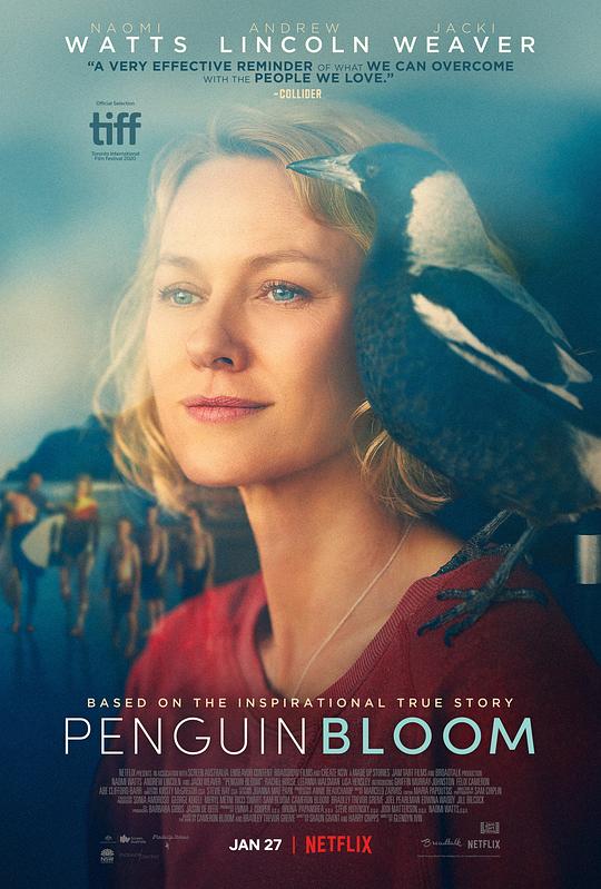  企鹅布鲁姆[中文字幕].Penguin.Bloom.2020.BluRay.1080p.DTS-HDMA.5.1.x265.10bit-DreamHD 6.15 