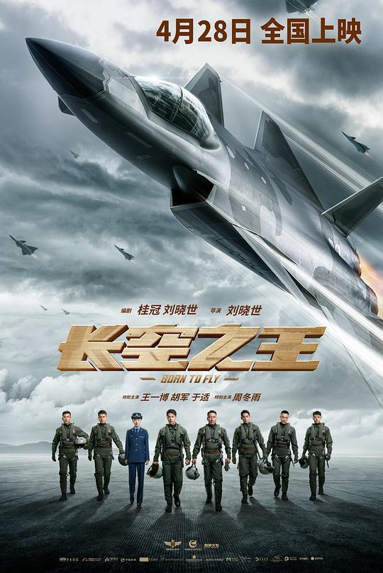  长空之王[国语音轨/简繁英字幕].Born.to.Fly.2023.BluRay.1080p.TrueHD5.1.x264-DreamHD 16.45GB 